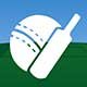 CricPulse Logo